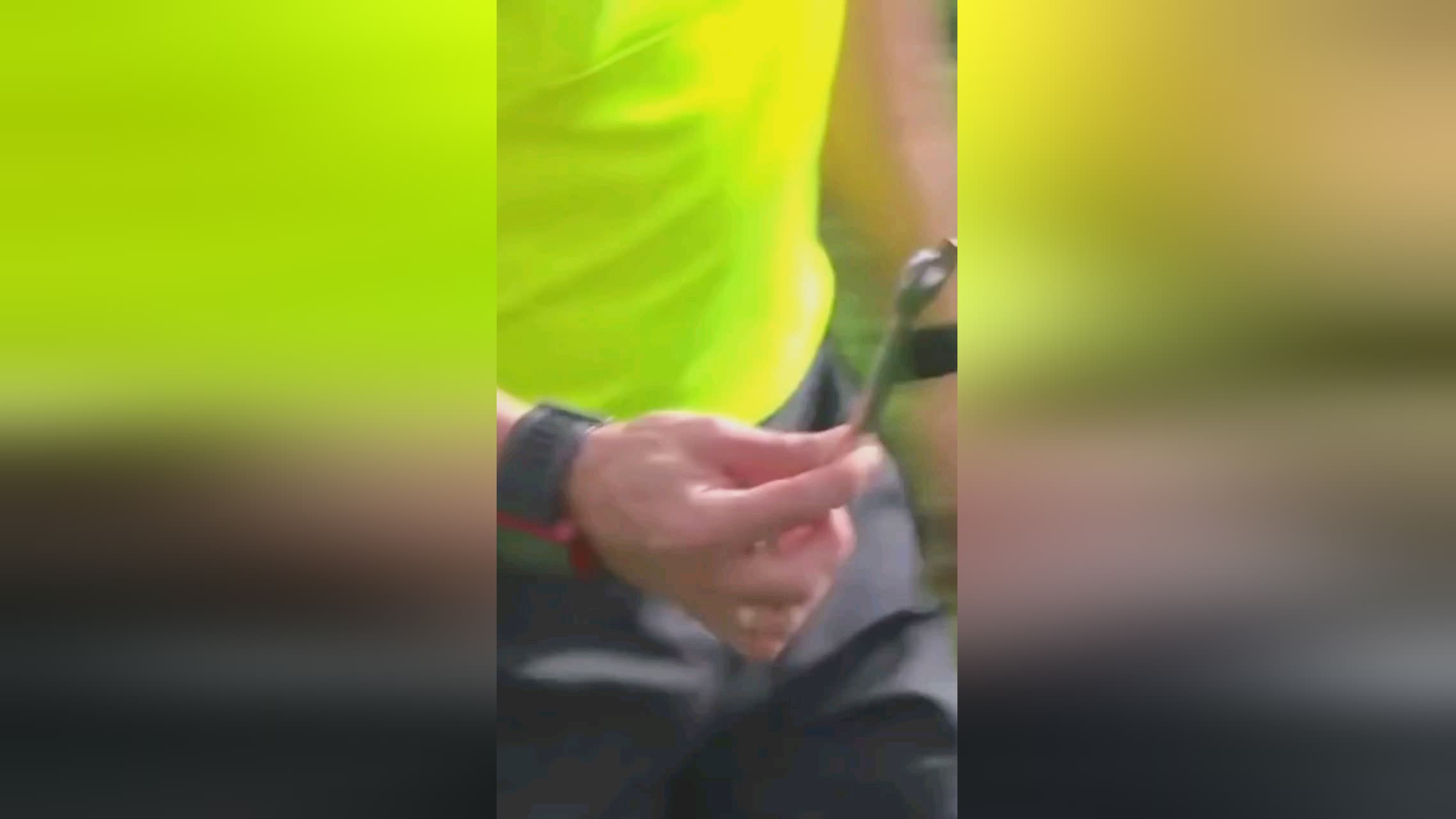 所以能够客